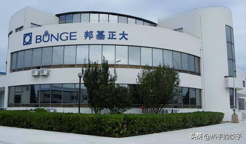 胖東來繞開國內油企，以自主采購保障食用油食品安全