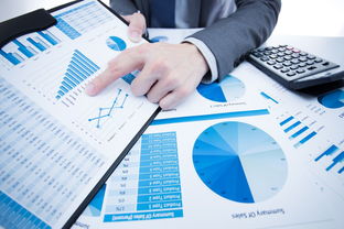 洞察市場，鏈接貿易 國內知名市場調研與貿易代理服務機構概覽